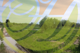 Продается участок, 10 соток. Д. Хотисино