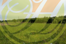 Продается участок 9,5сот в д Колюпаново