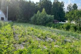 Продается земельный участок 8 соток в д. Еловка, СНТ Каскад. 