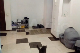 3-к. квартира, 92,6 м², 5/9 эт.